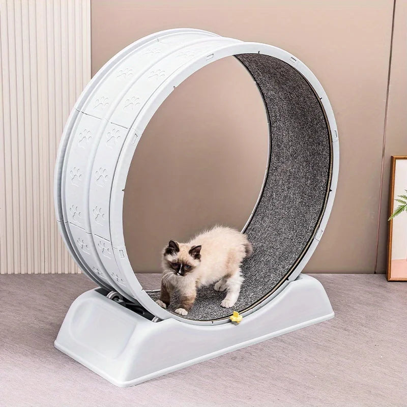PawsActive Excercise Wheel