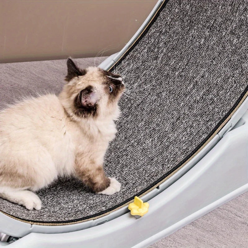 PawsActive Excercise Wheel