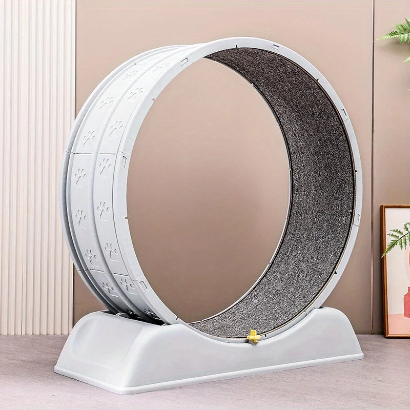PawsActive Excercise Wheel