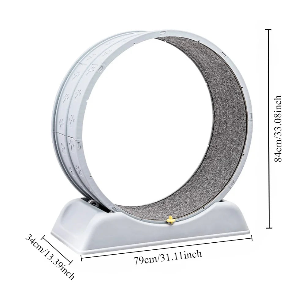 PawsActive Excercise Wheel